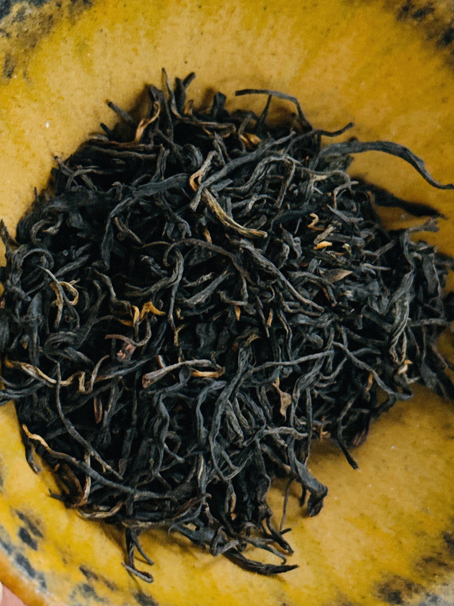 茉莉紅茶 | Scented Jasmine Black Tea
